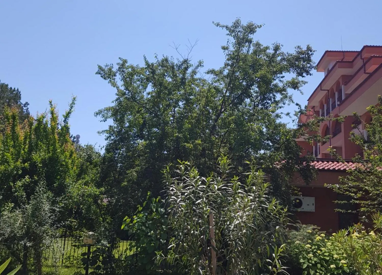 Family Hotel Magnolia Sunny Beach