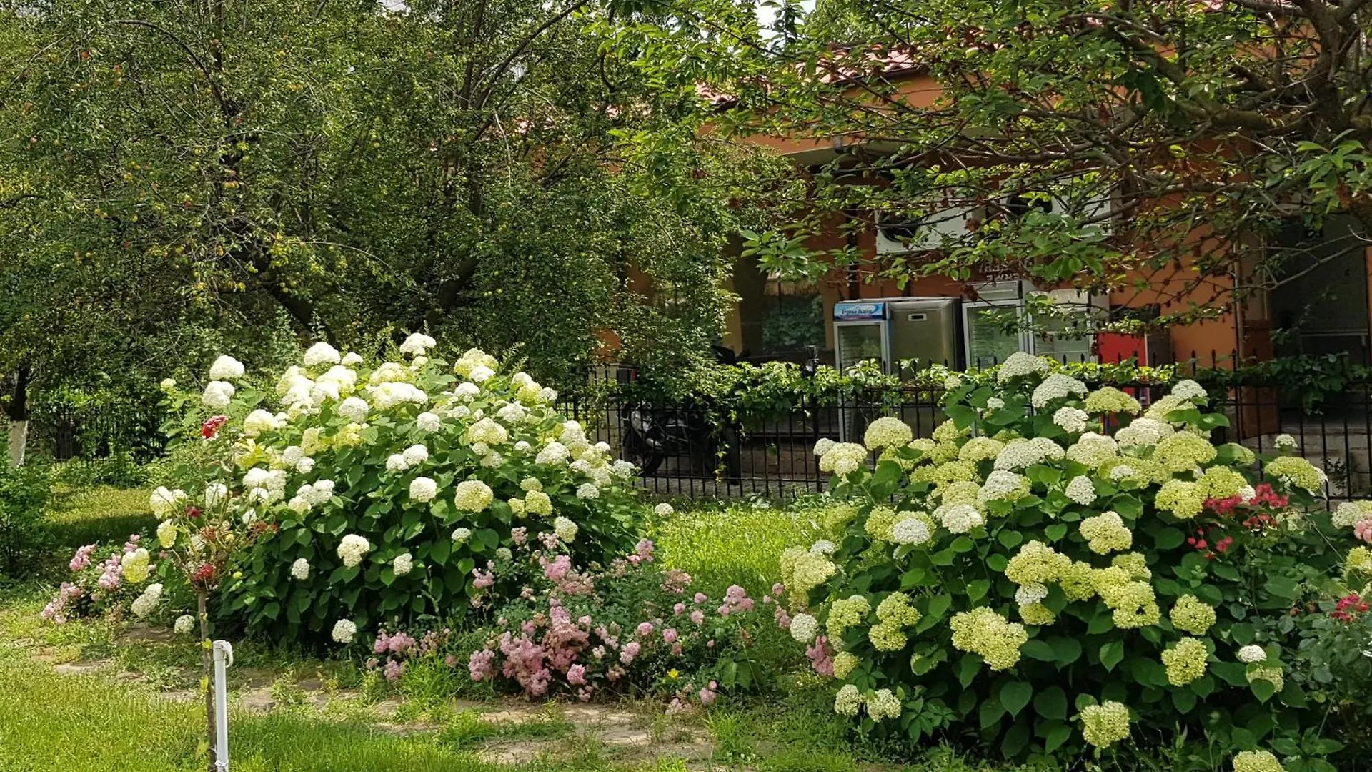 **  Family Hotel Magnolia, Slantchev Briag Bulgarie