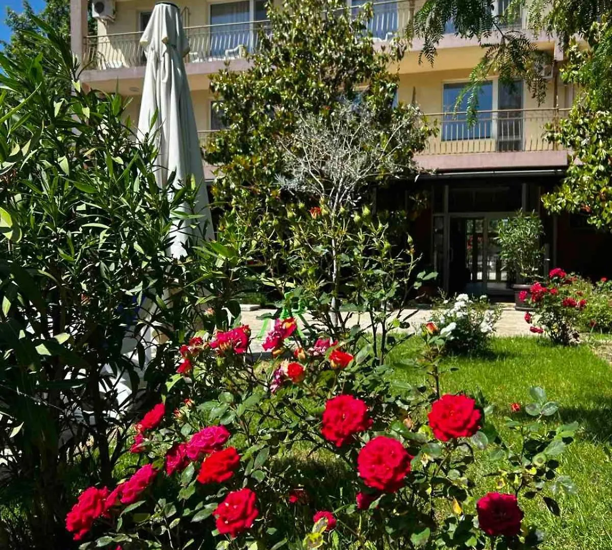 Family Hotel Magnolia Sunny Beach